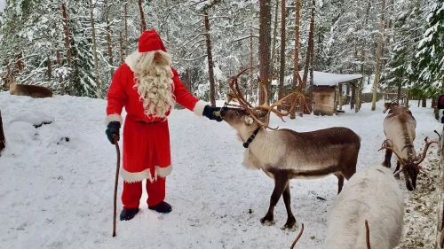 Reindeer & Santa
